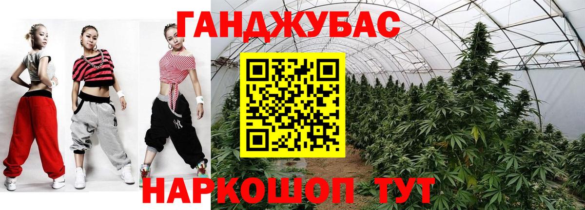 Бошки марихуана THC 21%  Конопля конопля  Дмитров  Вход с VPN  Шишки марихуана Ganja  Бошки Шишки тримм 